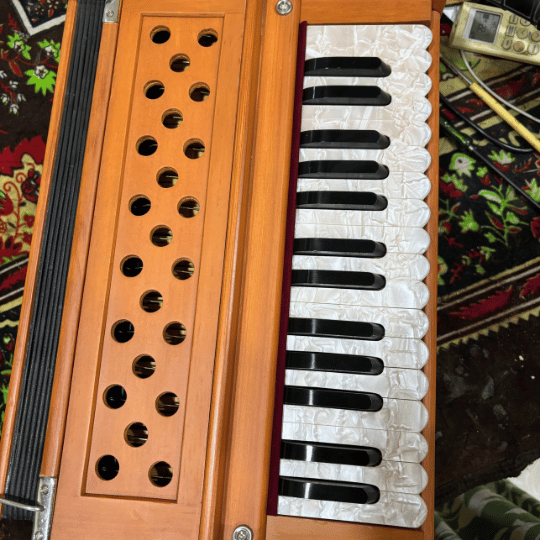 Standart Harmonium (2)