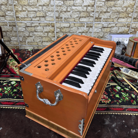 Standart harmonium, practice with Diana