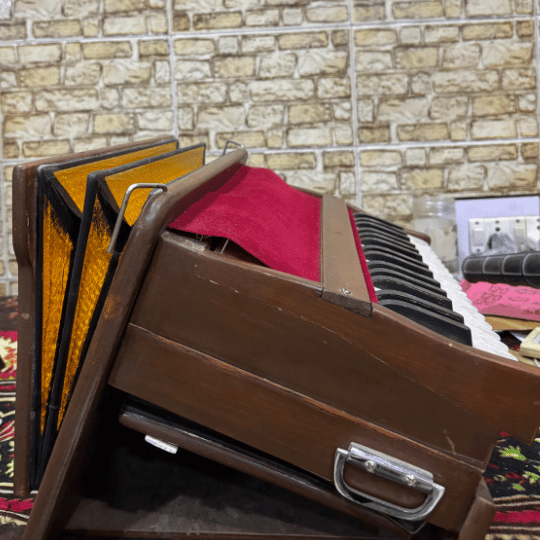 harmonium product in bali, buy harmonium in bali, harmonium portable, portable harmonium price in bali, Diana beauty harmonium in bali, practice with Diana compact harmonium