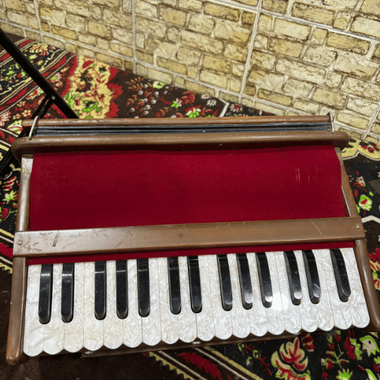 harmonium product in bali, buy harmonium in bali, harmonium portable, portable harmonium price in bali, Diana beauty harmonium in bali, practice with Diana compact harmonium in bali