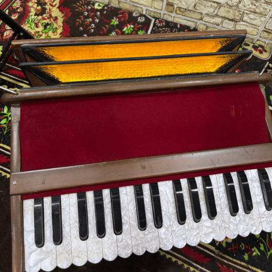 harmonium product in bali, buy harmonium in bali, harmonium portable, portable harmonium price in bali, Diana beauty harmonium in bali, practice with Diana compact harmonium in bali. by harmonium
